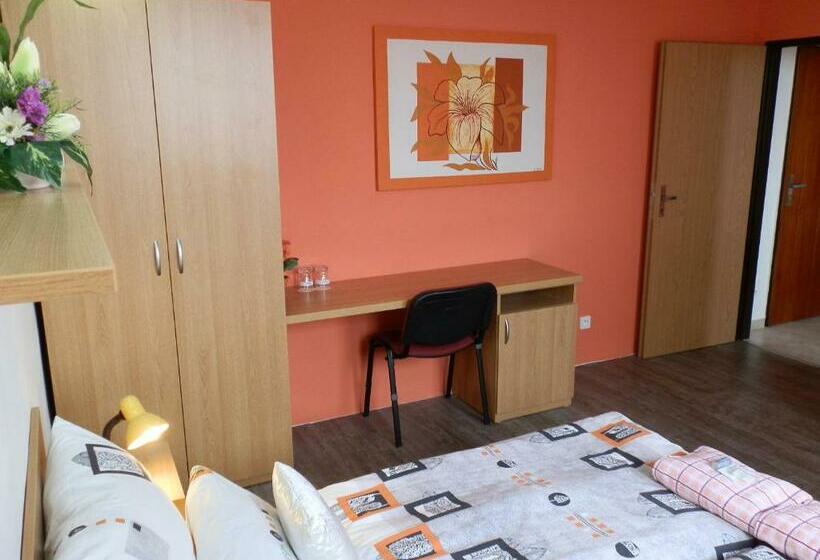 חדר סטנדרט, Gól Prostějov