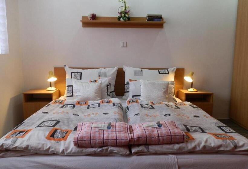 חדר סטנדרט לשלושה, Gól Prostějov