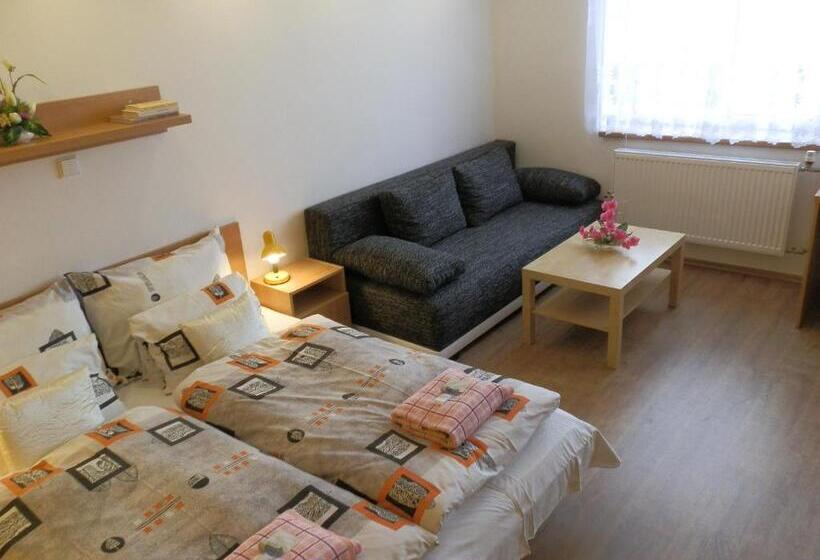 חדר סטנדרט לשלושה, Gól Prostějov