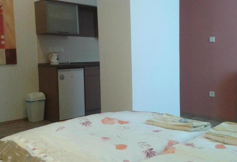 חדר סטודיו סטנדרד, Gól Prostějov