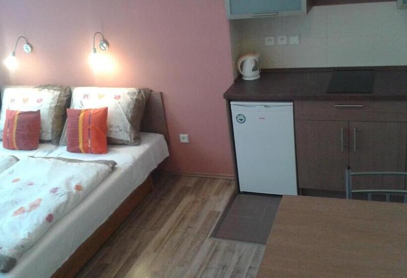 חדר סטודיו סטנדרד, Gól Prostějov