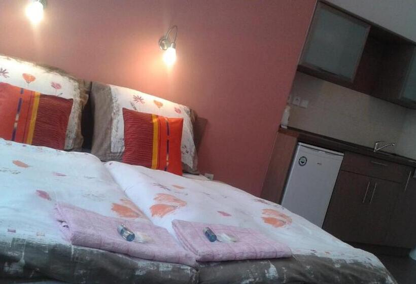 חדר סטודיו סטנדרד, Gól Prostějov