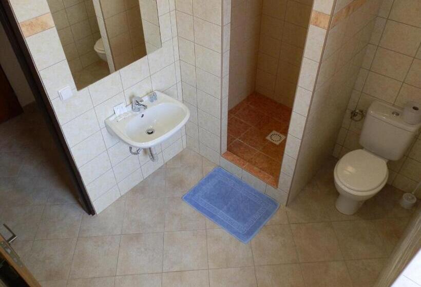 חדר סטנדרט, Gól Prostějov