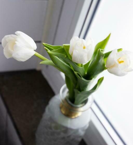 스탠다드 싱글 룸, Livin Station