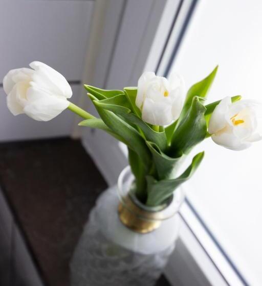 스탠다드 룸, Livin Station