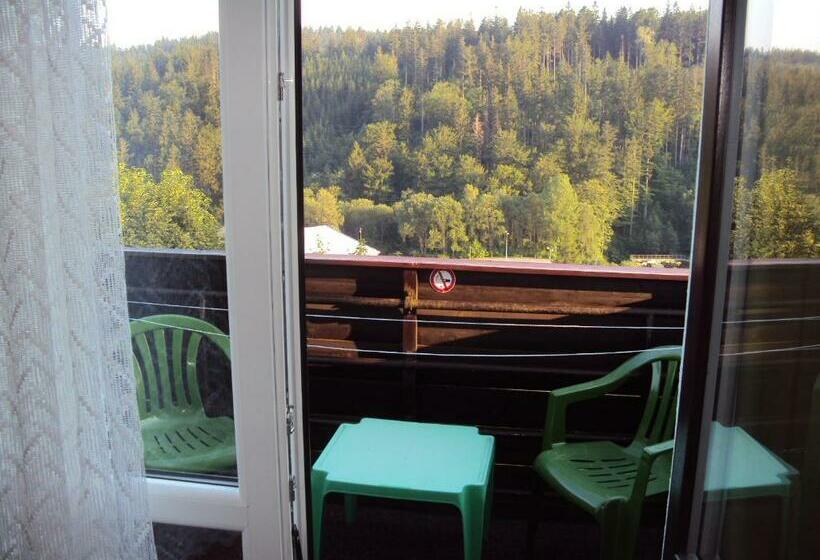 غرفة قياسية مزوَّدة بشُرفة, Zátiší