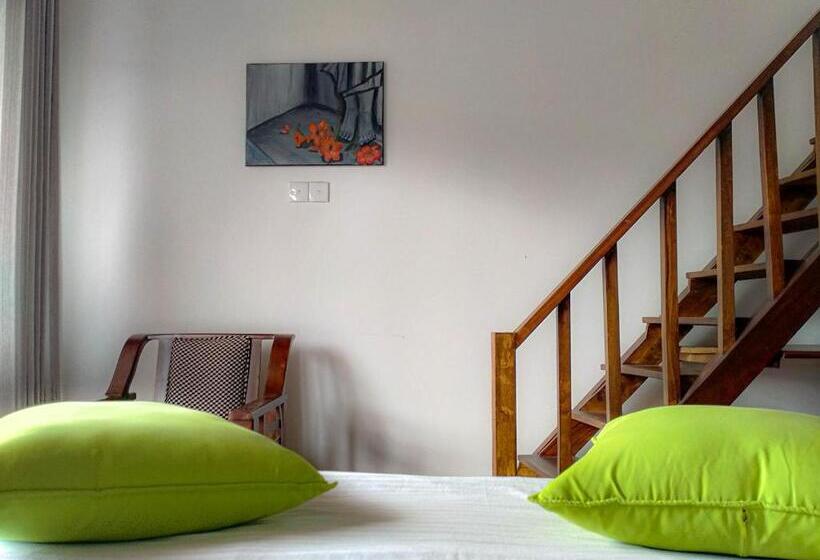 Estudio Familiar, Manudi Glenfallsedge Rest