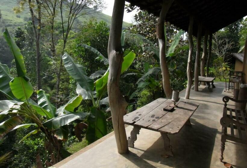 スタンダードルーム, The Kandy Samadhicentre