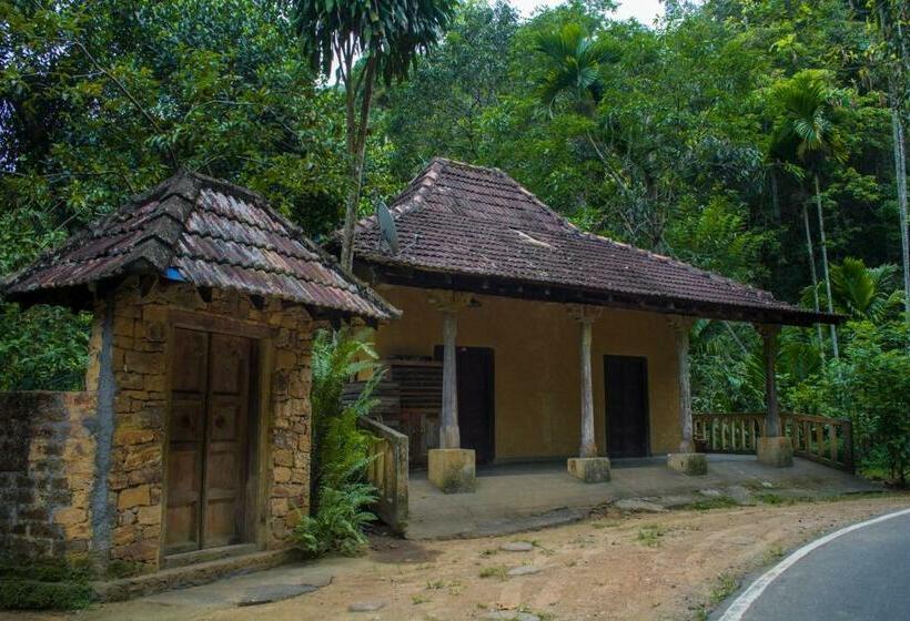 スタンダードルーム, The Kandy Samadhicentre