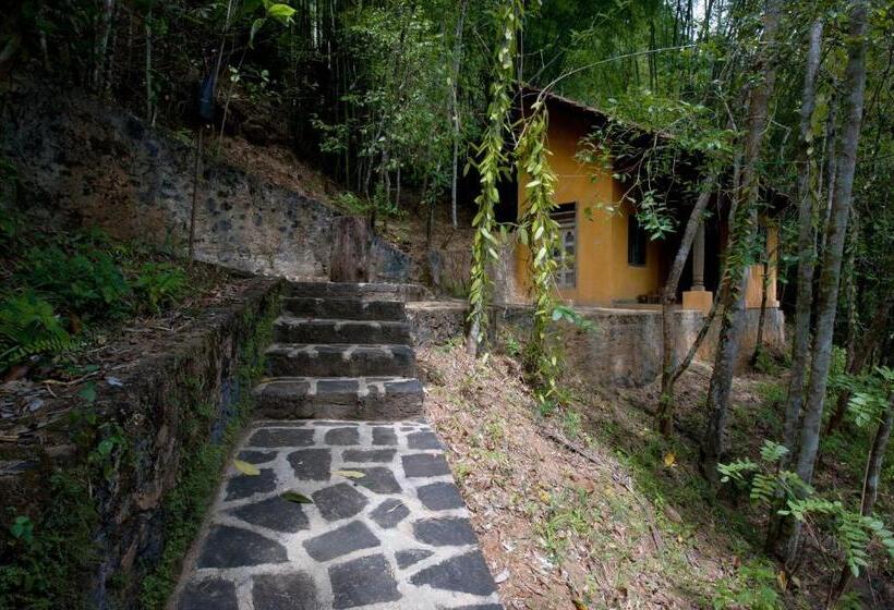 スタンダードシングルルーム, The Kandy Samadhicentre