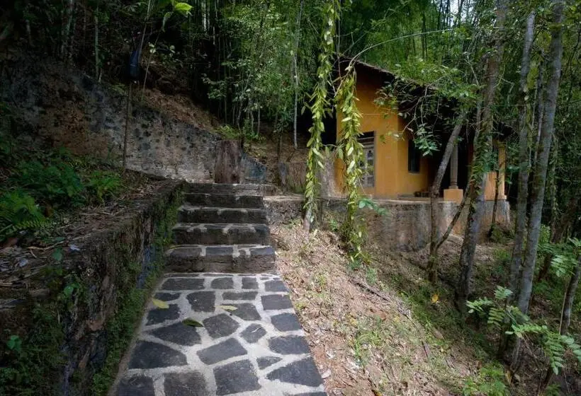 Standard Yhden Hengen Huone, The Kandy Samadhicentre