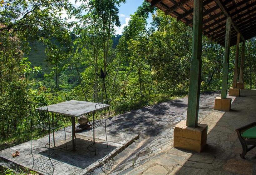 Номер Стандарт Индивидуальный, The Kandy Samadhicentre