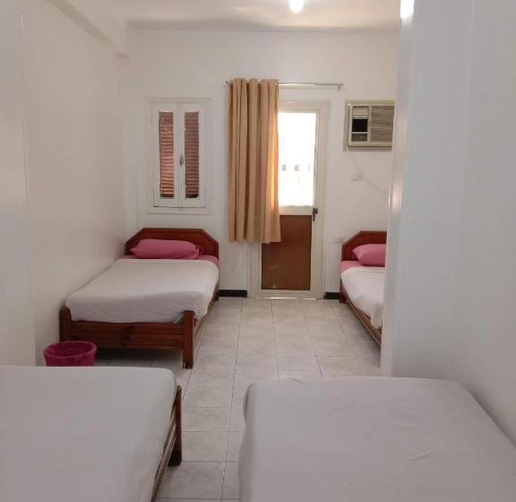 اتاق خانوادگی, Venus Hotel Luxor 日本人 大歓迎