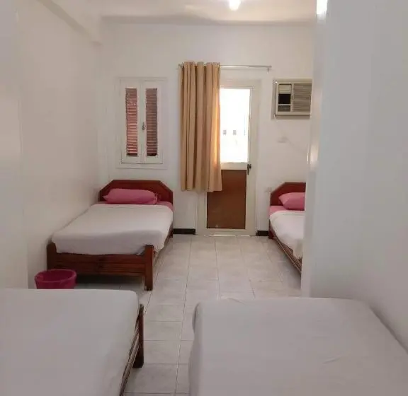 اتاق خانوادگی, Venus Hotel Luxor 日本人 大歓迎
