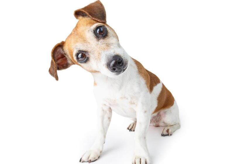 スタンダードインサイドビュールーム, Bauergården