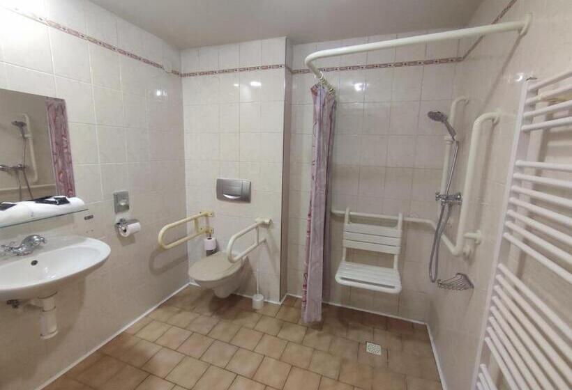 身障者適用スタンダードルーム, Brixen