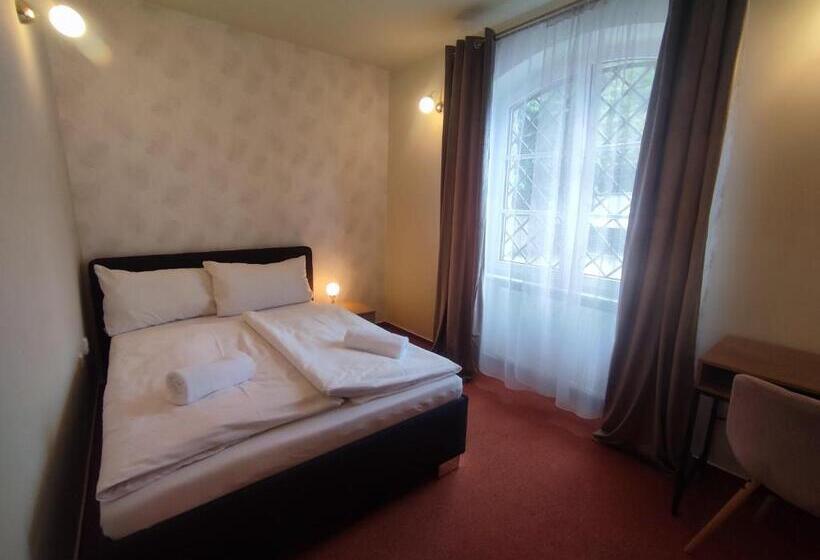 适合残疾人使用的标准间, Brixen