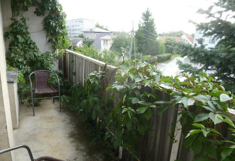 اتاق استاندارد یک نفره, L Pääsuke