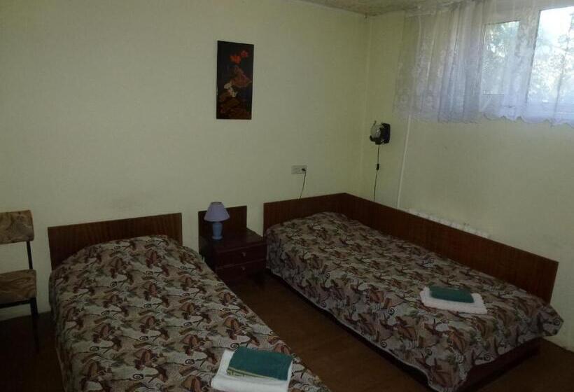 اتاق اکونومی, L Pääsuke