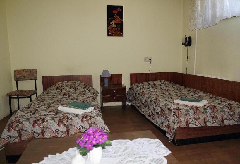 اتاق اکونومی, L Pääsuke