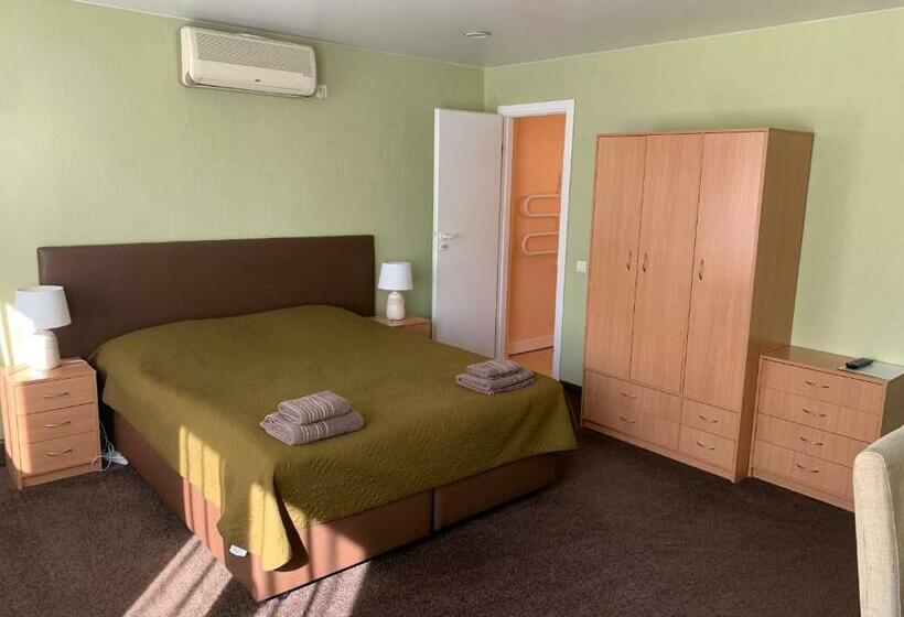 اتاق سوپریور, Laisves 30