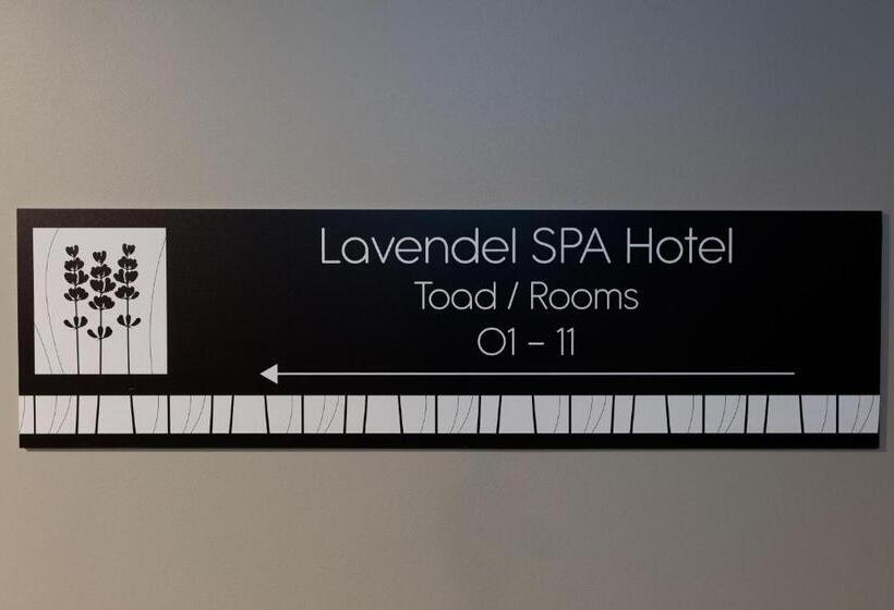 اتاق استاندارد با دسترسی به اسپا, Lavendel Spa