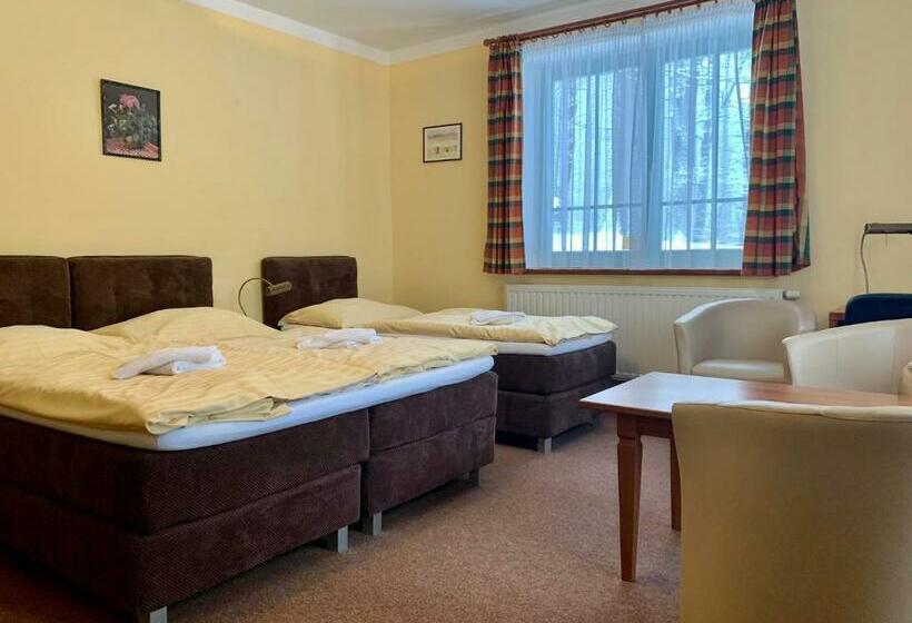 Háromágyas Standard Szoba, Loucky