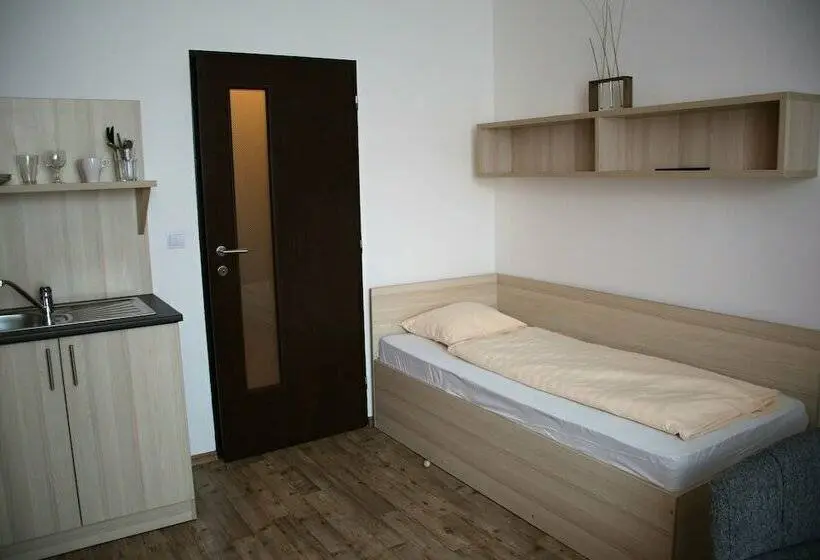 اتاق استاندارد یک نفره, Palác