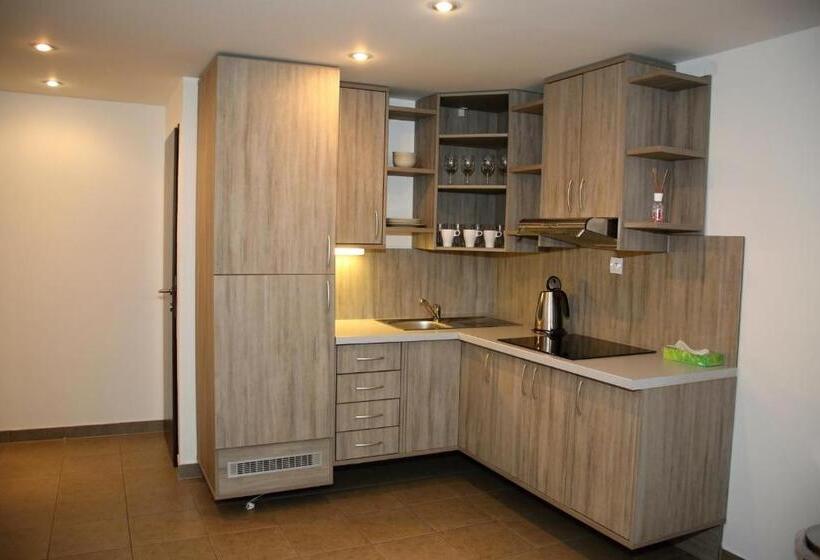 带1个卧室的公寓, Palác