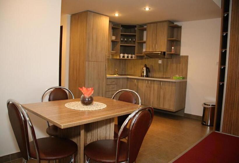 带1个卧室的公寓, Palác