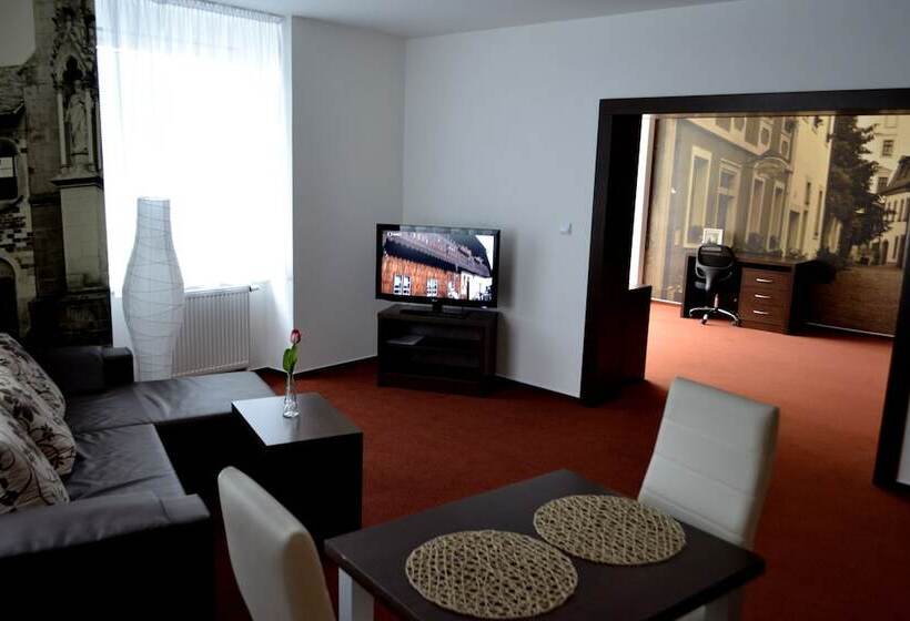 带1个卧室的公寓, Palác