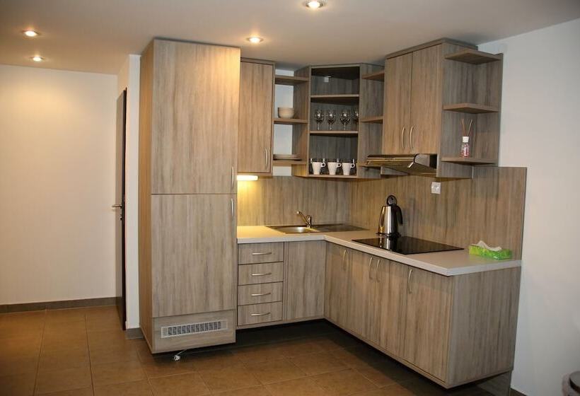 带1个卧室的公寓, Palác