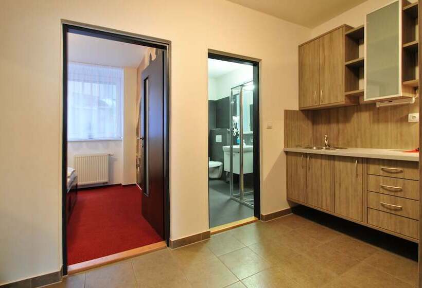 带1个卧室的公寓, Palác