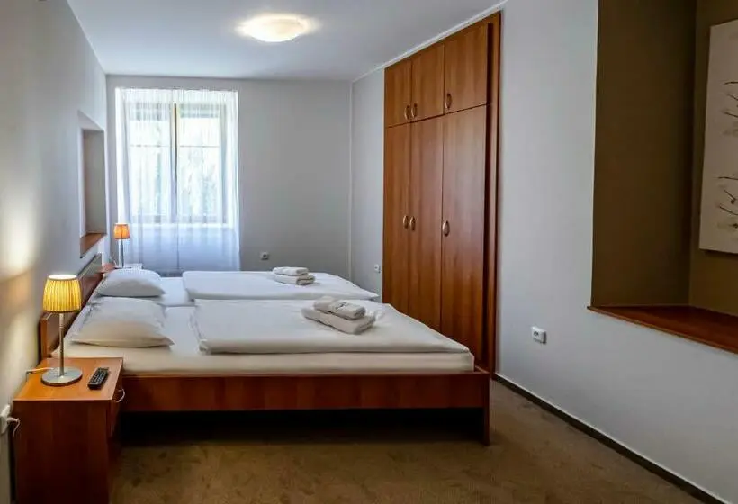 １ベッドルームアパートメント, Relax Hotel Stork