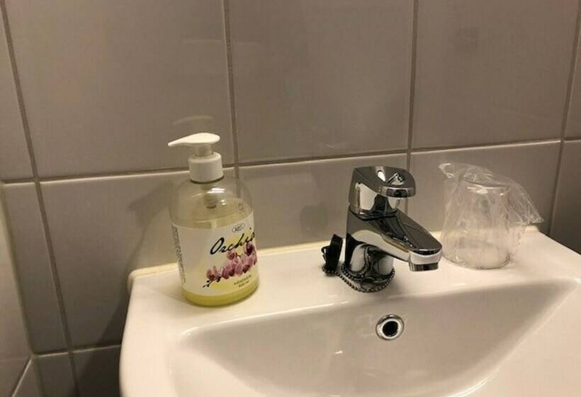 이코노미 싱글 룸, Enter Skansen