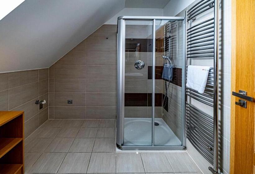 Апартаменты Дюплекс 1 Спальня, Relax Hotel Stork