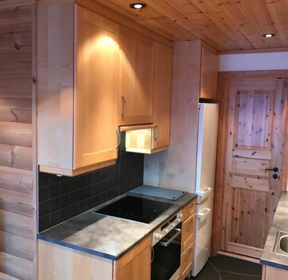 דירת חדר, Rondane Haukliseter Fjellhotell