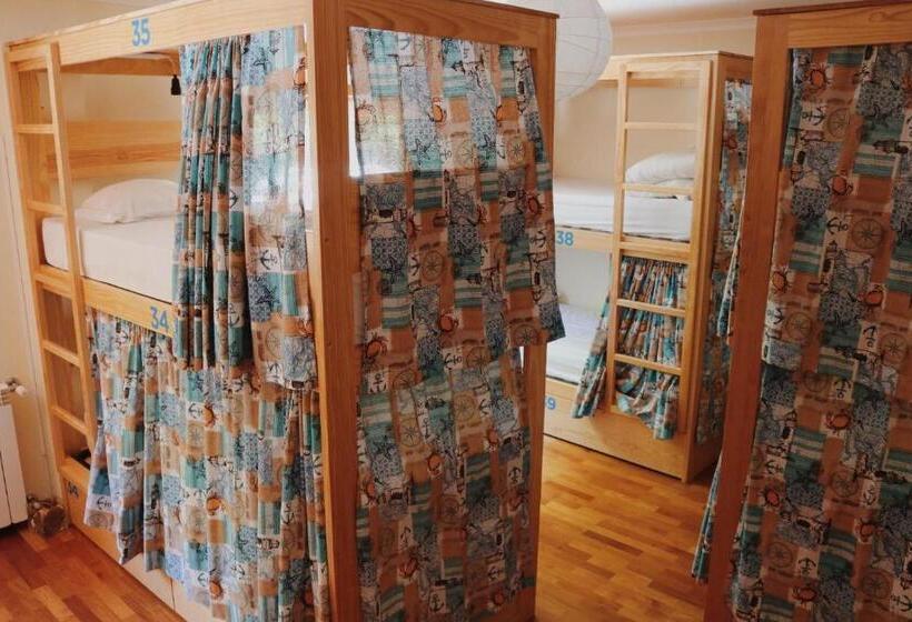 공동 객실, Oportocean