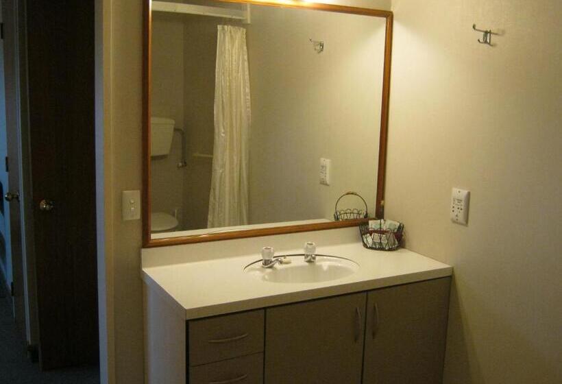 شقة سوبريور غرفة واحدة, Blue Dolphin Motel