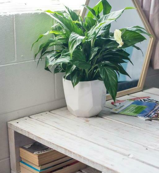 Номер Deluxe Кровать Кинг, Downtown B&b