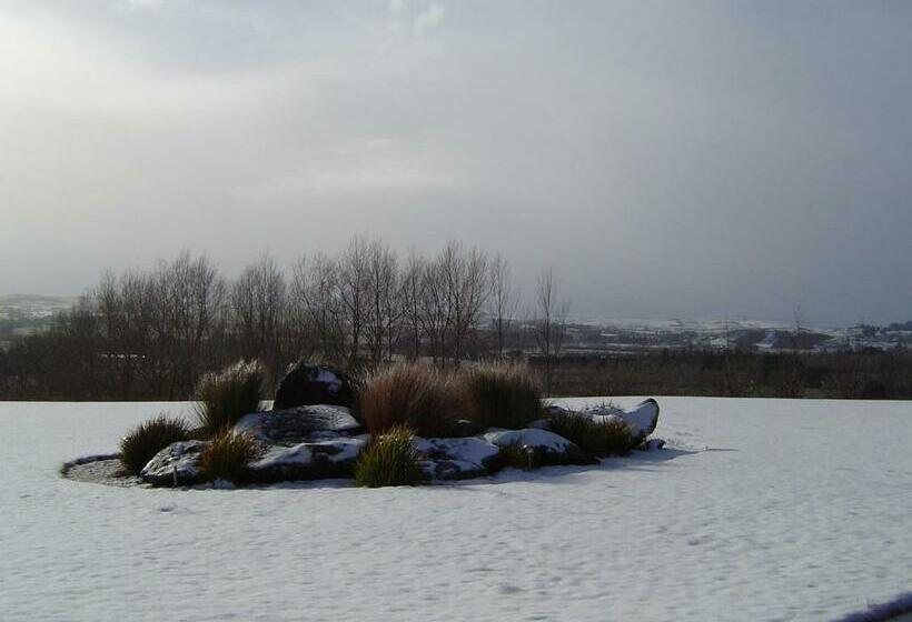 חדר סטנדרט נוף לגינה, Hokonui Bed And Breakfast