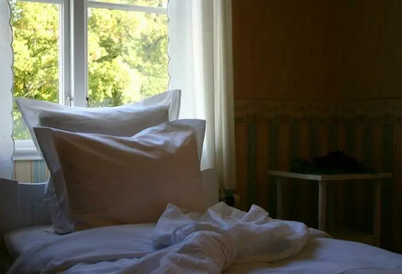 Standard-huone, Hellefors Herrgård