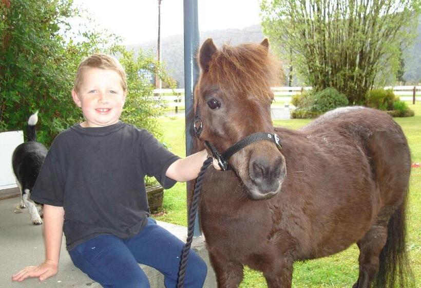 标准平房, Mt Cook View Motel