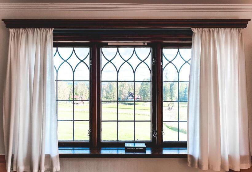 غرفة إقتصادية عائلية, L Gyllene Hornet