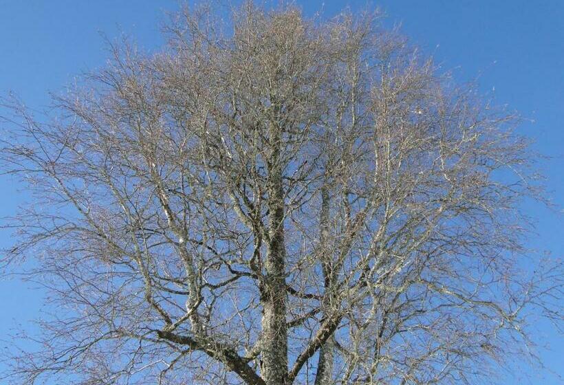 Четырехместный Номер Стандарт, Sunne Hembygdsgård B&b