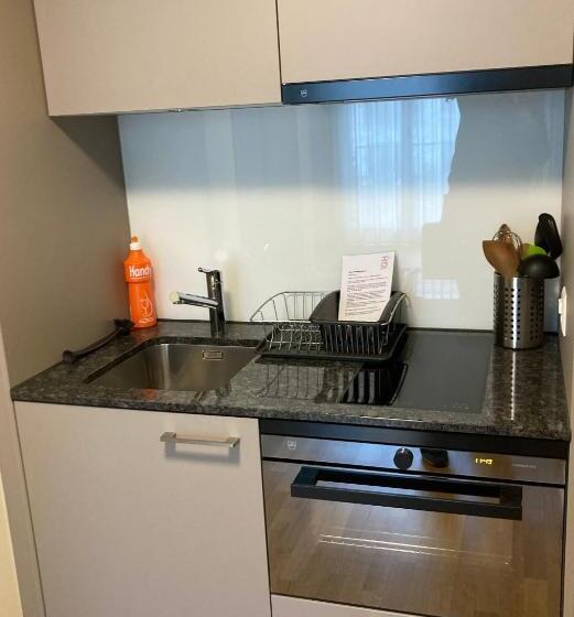 استودیو استاندارد با بالکن, Gästehaus Hunziker