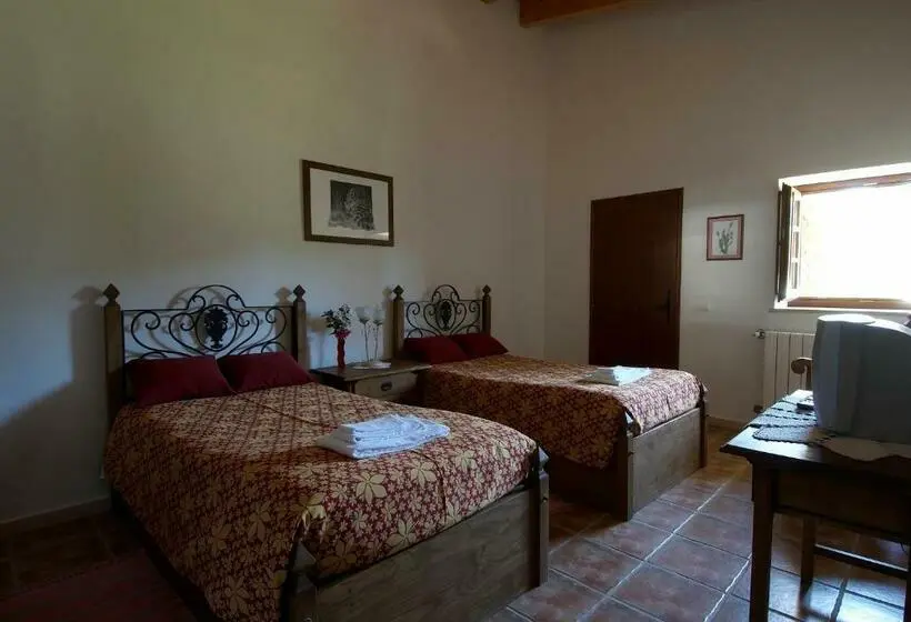 スタンダードルーム, Quinta Pero Vicente