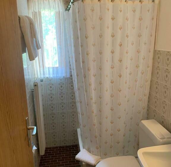 高级大房间, Adler