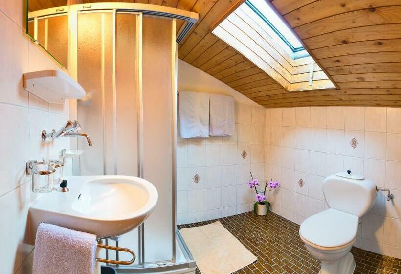 高级大房间, Adler