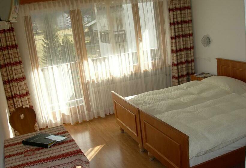 高级大房间, Adler